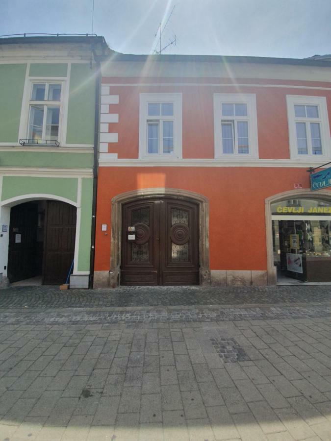 Luxory Apartment The Soul Of City Maribor Eksteriør billede